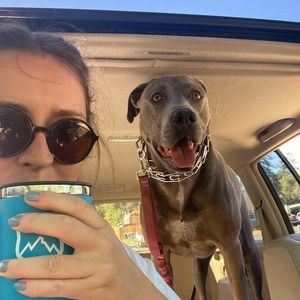 Meet your Posher, Allison